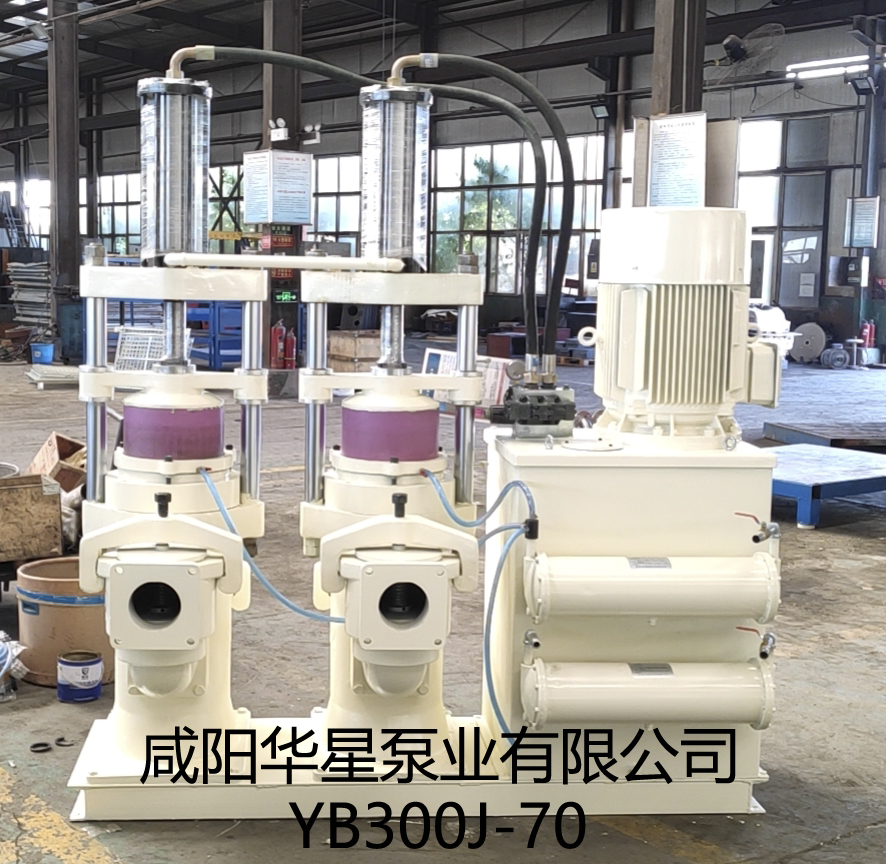 YB300J-70陶瓷柱塞泵反面